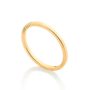 ANEL SKINNY BANHADO A OURO 18K